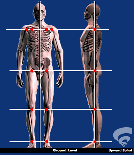 Correct postural alignment, front view and side view