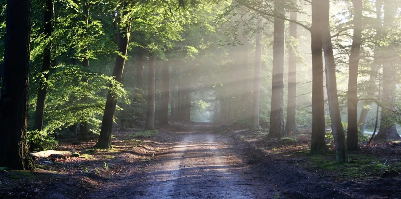 Journey out of stuckness