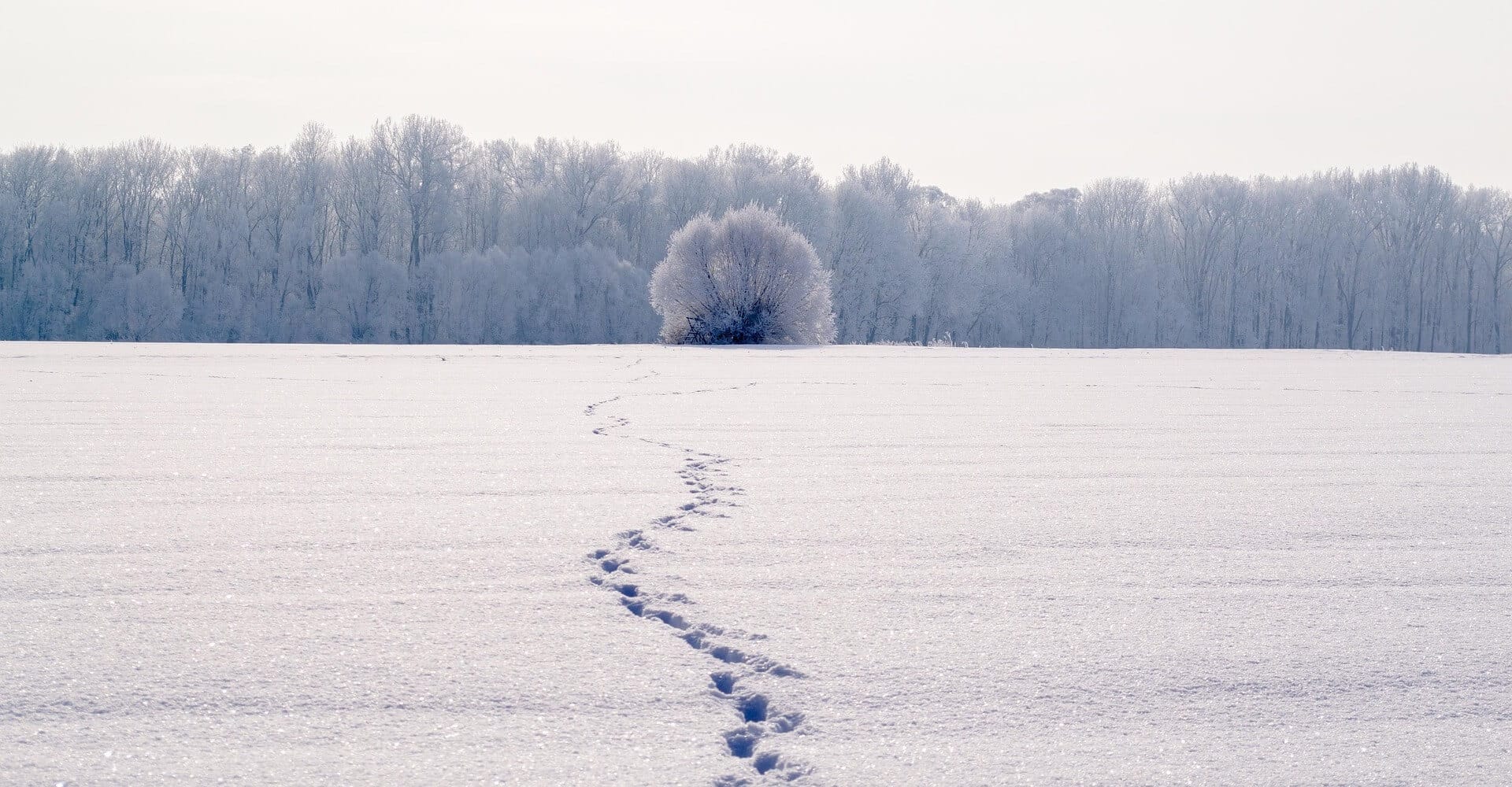 Asking “What do I want?”, is the edge of change. Footprints in the snow are the path to choice